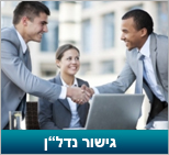 גישור נדלן